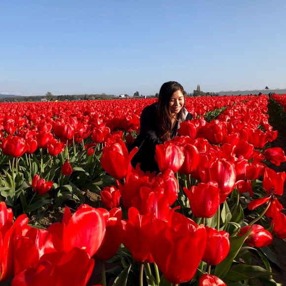 Meet your Posher, Michelle - Picture 2 of 4